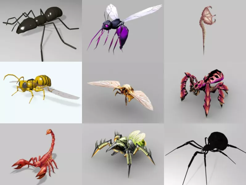 Top 10 3ds Max Insect 3D Models Resources Most Recent 2022