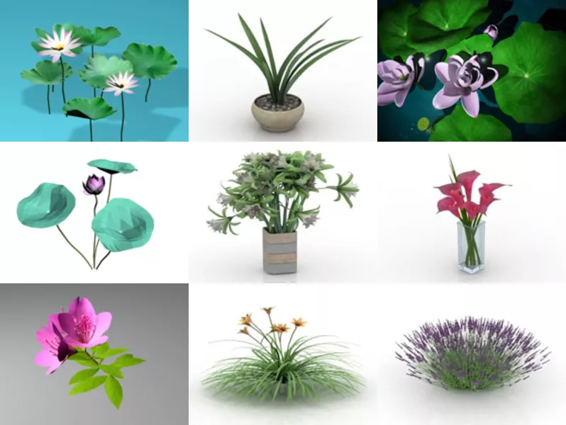 Top 10 Flower 3D Models Resources Newest 2022
