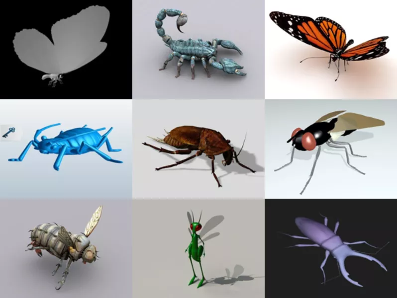 Top 10 Obj Insect 3D Models Stuff Newest 2022