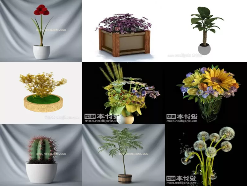 Top 11 3ds Max Potted Plant 3D Models Resources Newest 2022