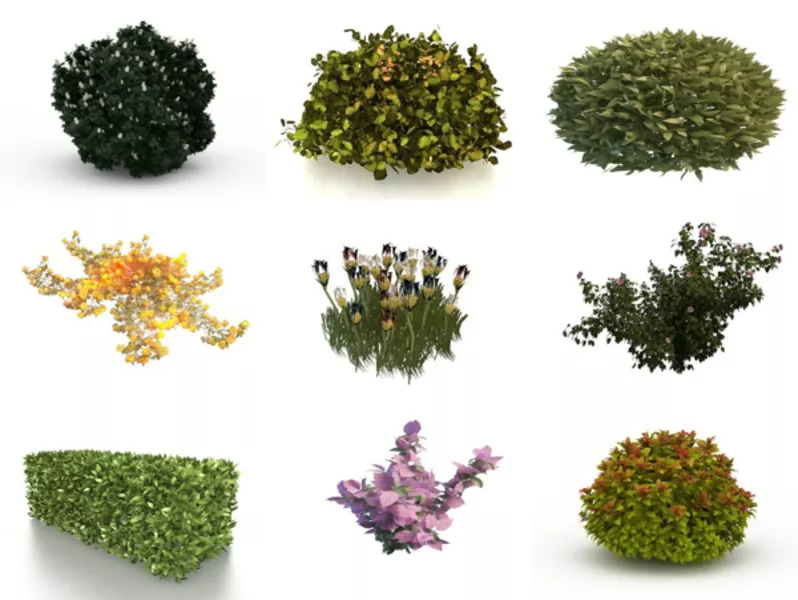 Top 11 3ds Max Shrubs 3D Models for Free Latest 2022