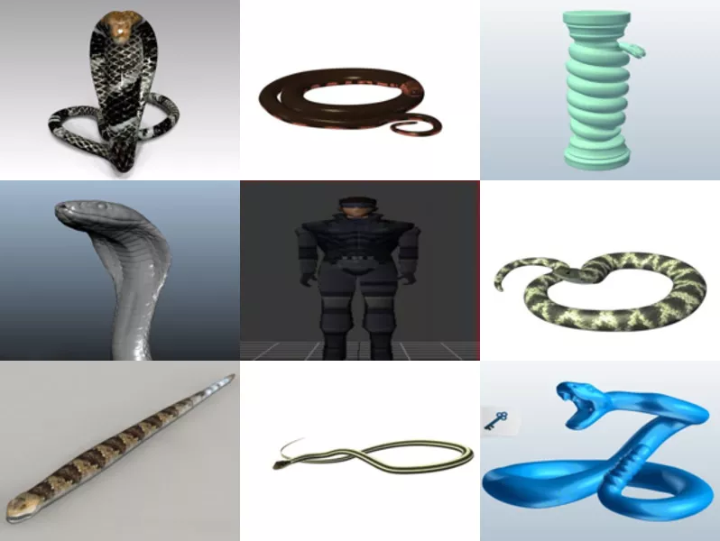 Top 11 Obj Snake 3D Models Most Recent 2022