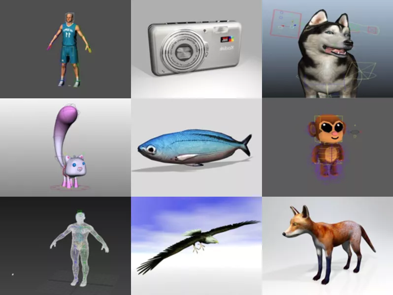 Top 11 Rigged 3D Models Latest 2022