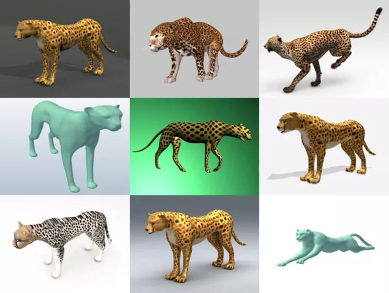 Top 12 Cheetah 3D Models for Design Newest 2022