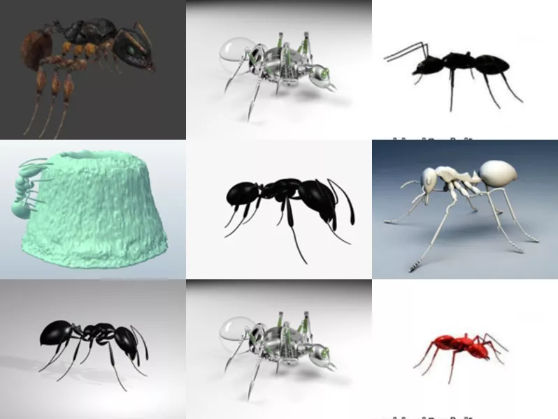 Top 12 Obj Ant 3D Models for Free Most Recent 2022