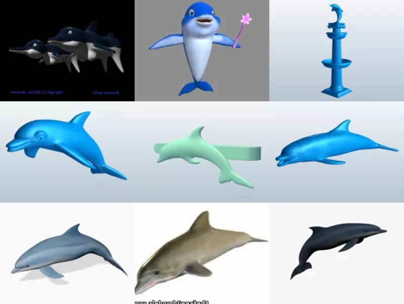 Top 12 Obj Dolphin 3D Models for Free Newest 2022