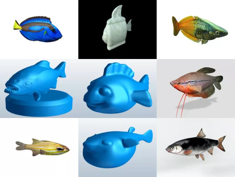 Top 12 Obj Fish 3D Models Most Recent 2022