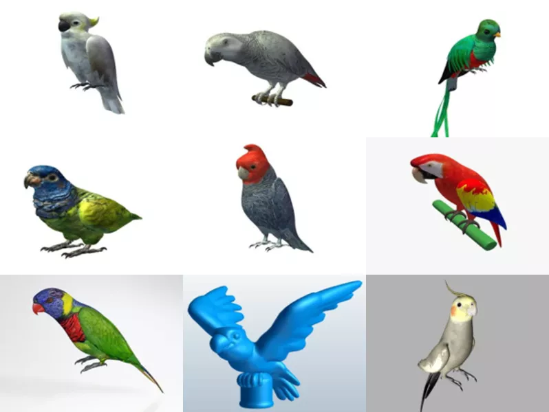 Top 12 Obj Parrot 3D Models for Design Newest 2022