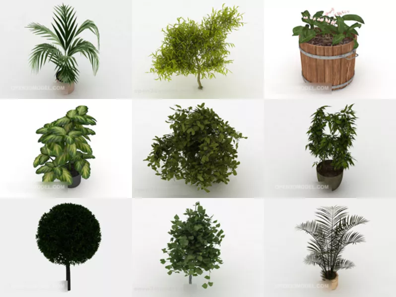 Top 12 Ornamental 3D Models Stuff Most Recent 2022