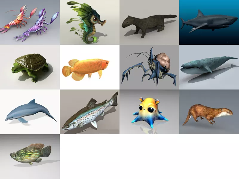 Top 13 Obj Aquatic Animal 3D Models for Design Newest 2022