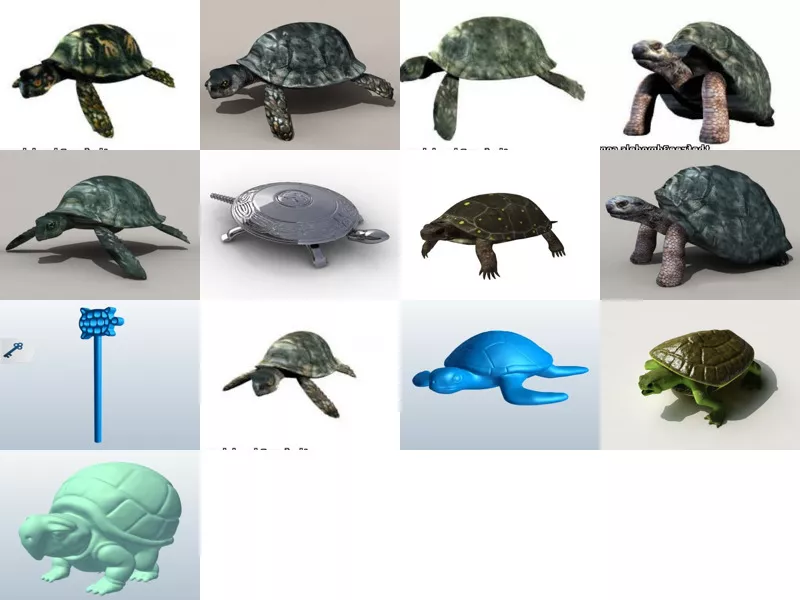 Top 13 Obj Turtle 3D Models Resources Newest 2022
