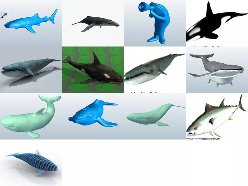 Top 13 Obj Whale 3D Models Latest 2022