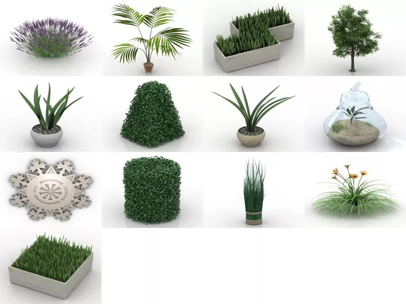 Top 13 Plant 3D Models Latest 2022