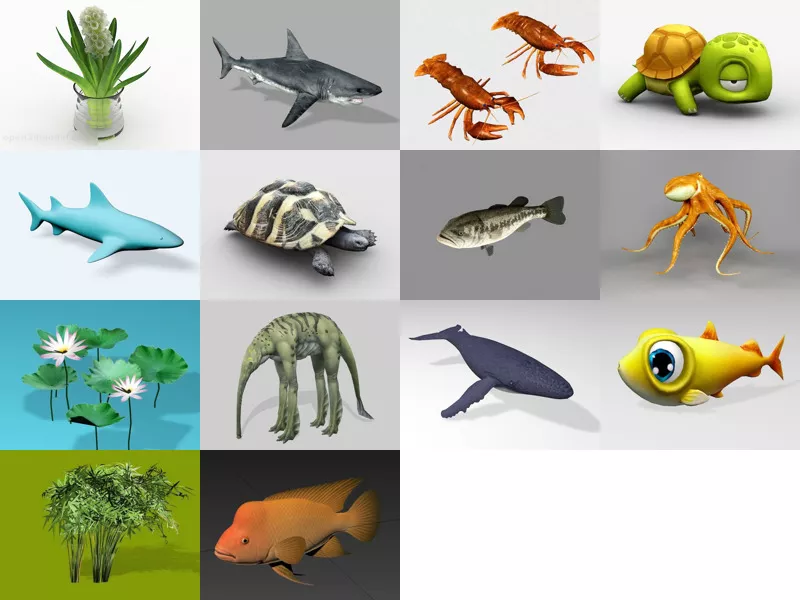 Top 14 3ds Max Aquatic 3D Models for Design Most Recent 2022