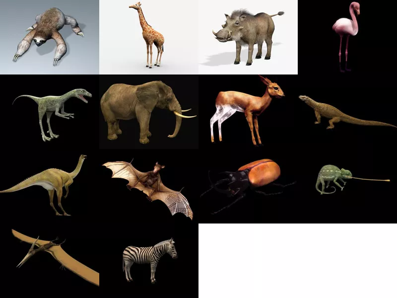 Top 14 3ds Max Wild Animal 3D Models Latest 2022