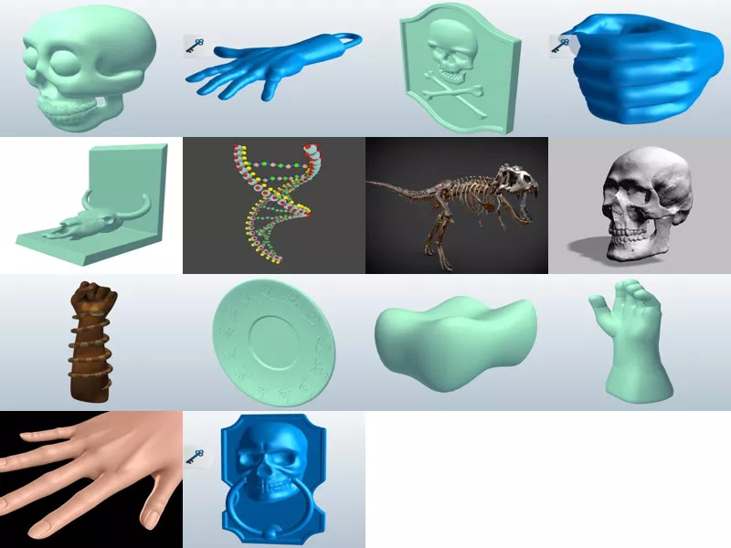 Top 14 Obj Anatomy 3D Models Latest 2022