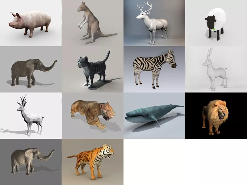 Top 14 Obj Mammal 3D Models Latest 2022