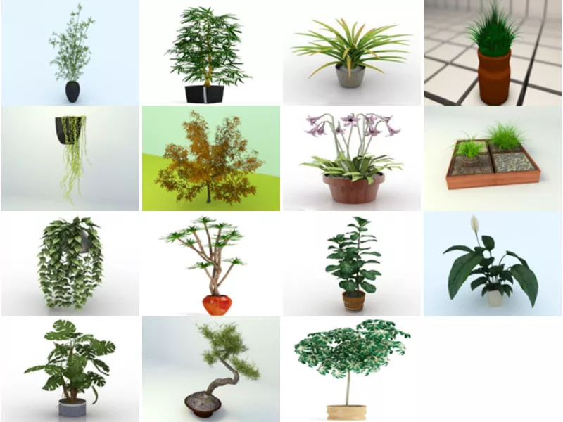 Top 15 Obj Indoor Plants 3D Models for Free Most Recent 2022