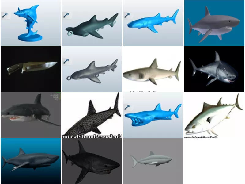 Top 15 Obj Shark 3D Models Resources Most Recent 2022