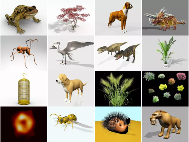 Top 16 Nature 3D Models Stuff Newest 2022