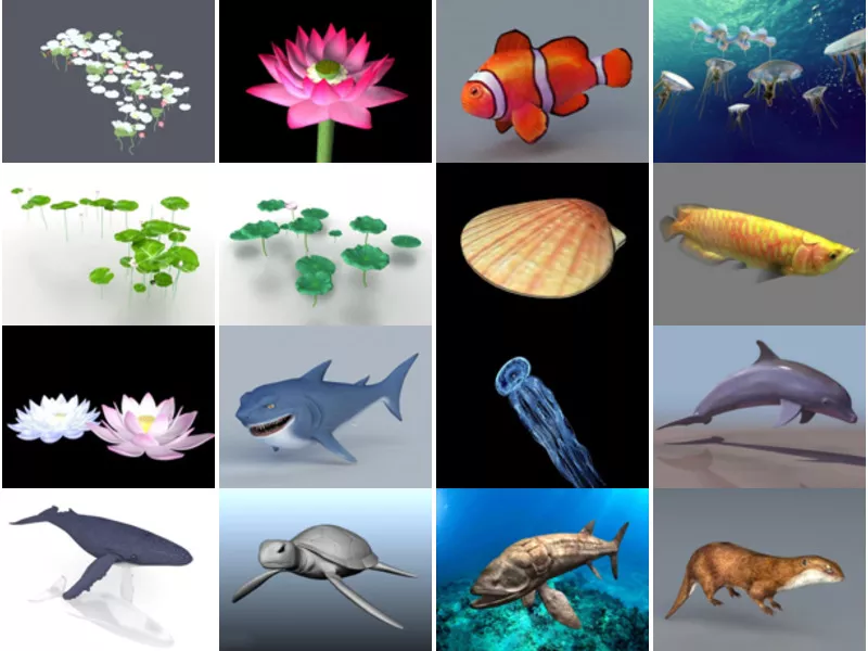 Top 16 Aquatic 3D Models Resources Most Viewed 2022
