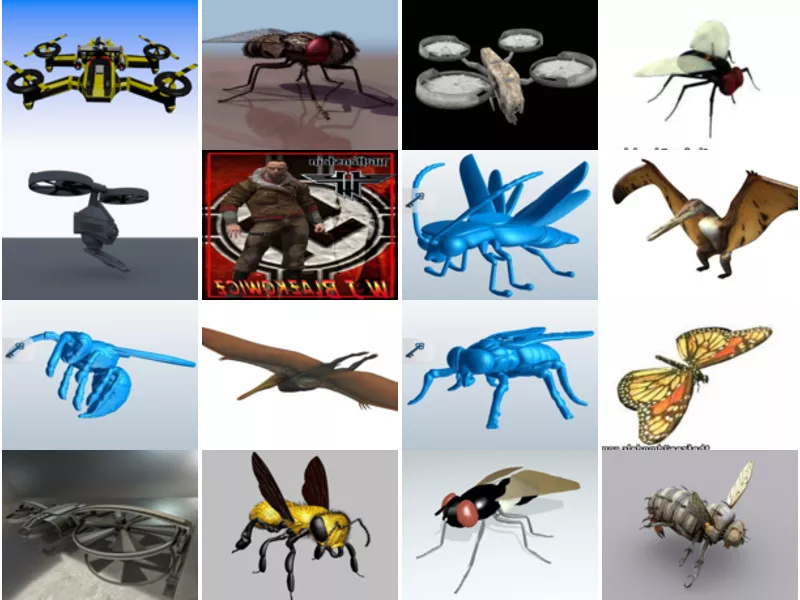 Top 16 Obj Fly 3D Models Stuff Newest 2022