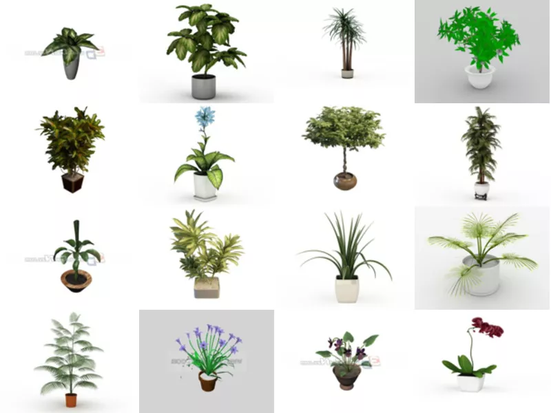 Top 17 3ds Max Indoor Plants 3D Models for Design Most Recent 2022