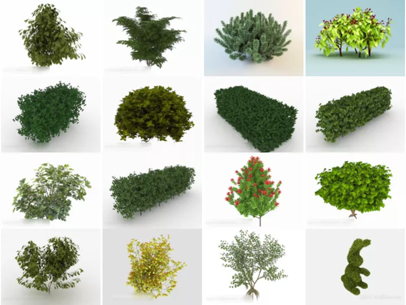 Top 17 3ds Max Shrub 3D Models Newest 2022