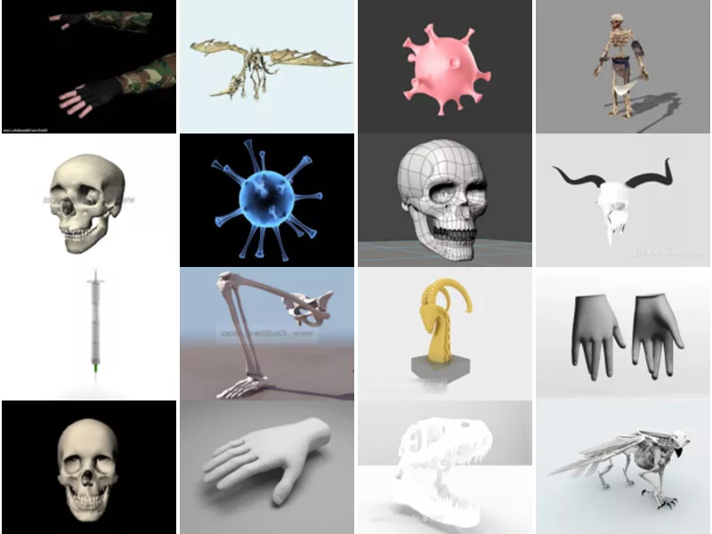 Top 18 3ds Max Anatomy 3D Models for Design Newest 2022