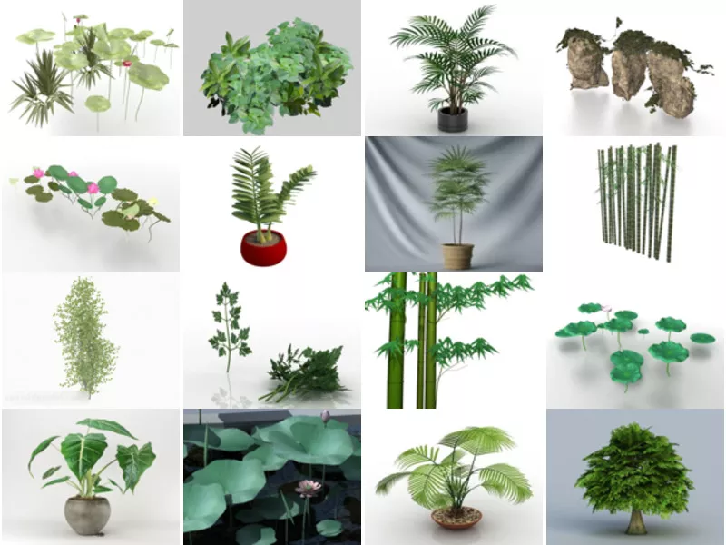 Top 18 Leaves 3D Models Stuff Most Viewed 2022