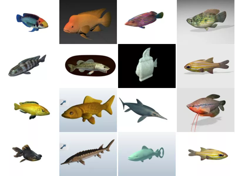 Top 18 Obj Fish 3D Models for Free Newest 2022
