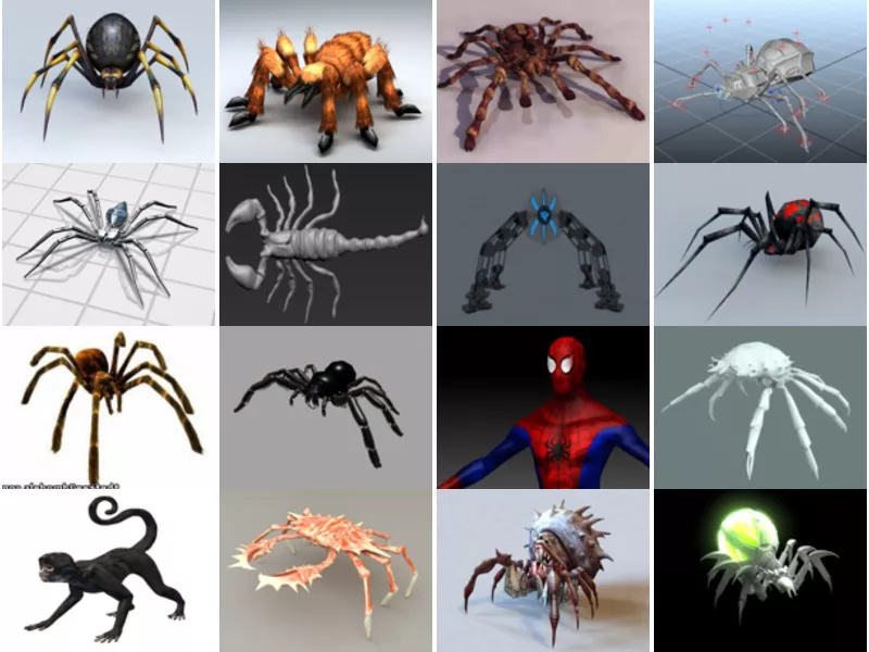 Top 18 Spider 3D Models for Rendering Most Popular 2022
