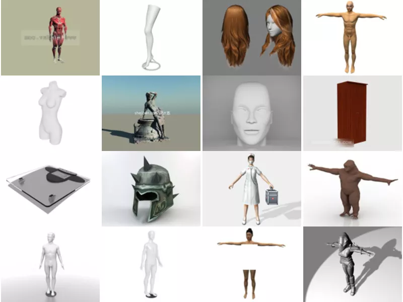 Top 19 3ds Max Body 3D Models Newest 2022