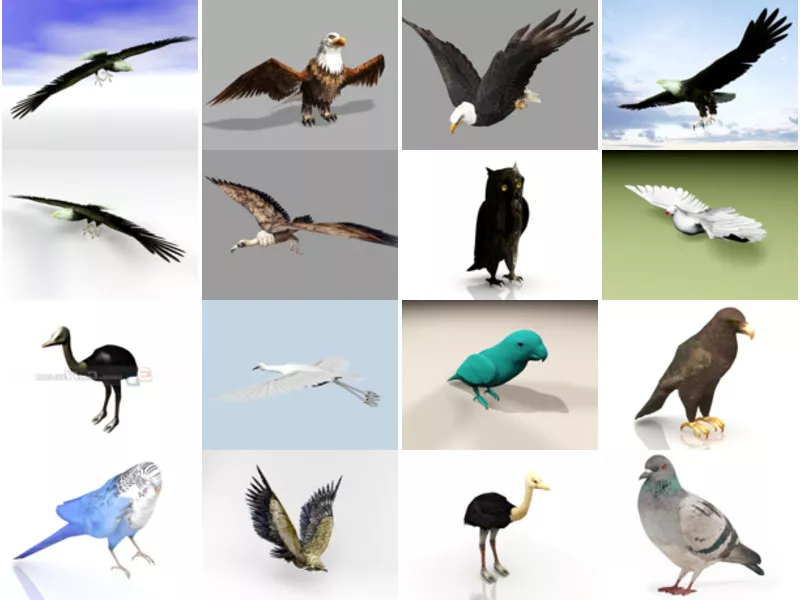 Top 20 3ds Max Avian Animal 3D Models for Design Most Recent 2022