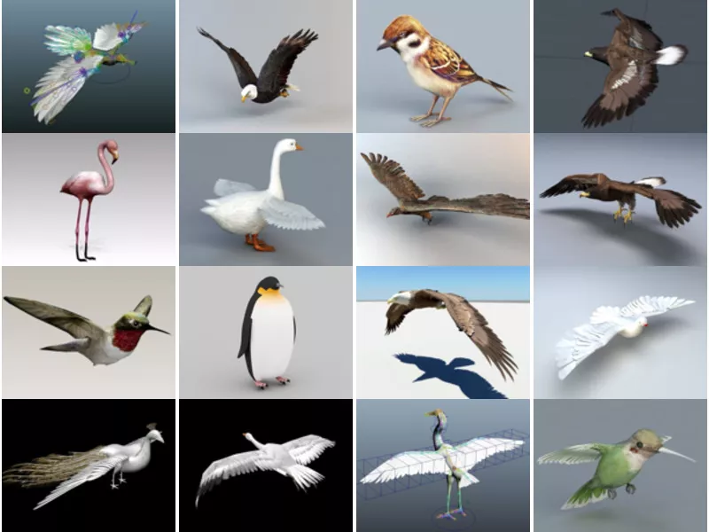 Top 21 Avian Animal 3D Models for Rendering Most Viewed 2022
