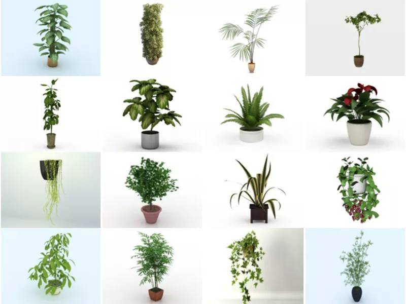 Top 22 Indoor Plants 3D Models for Rendering Most Popular 2022
