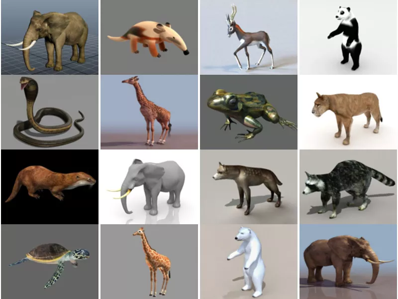 Top 22 Wild Animal 3D Models Resources Most Popular 2022