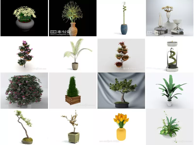 Top 23 Potted 3D Models for Free Most Recent 2022