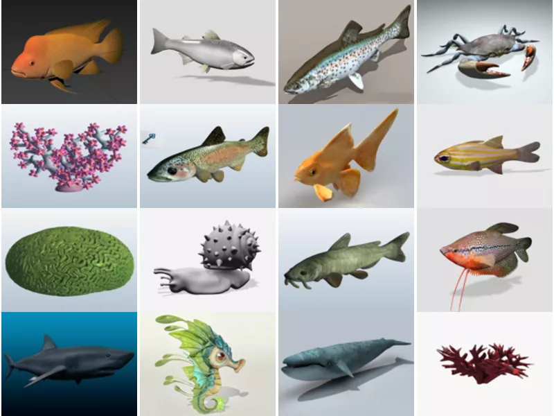 Top 23 Obj Aquatic 3D Models for Rendering Latest 2022