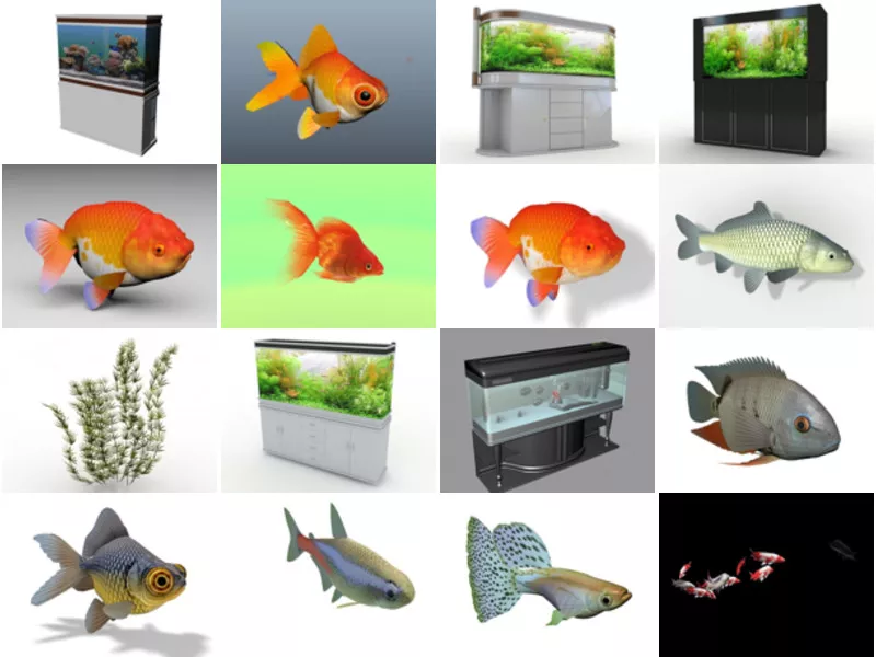 Top 25 Aquarium 3D Models Stuff Most Popular 2022