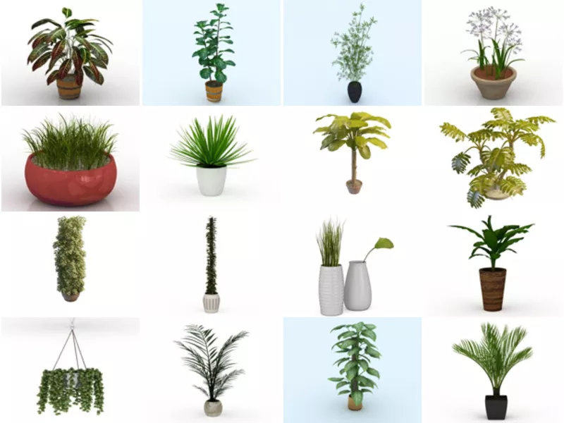 Top 25 Indoor Plants 3D Models Resources Most Viewed 2022 - Open3dModel