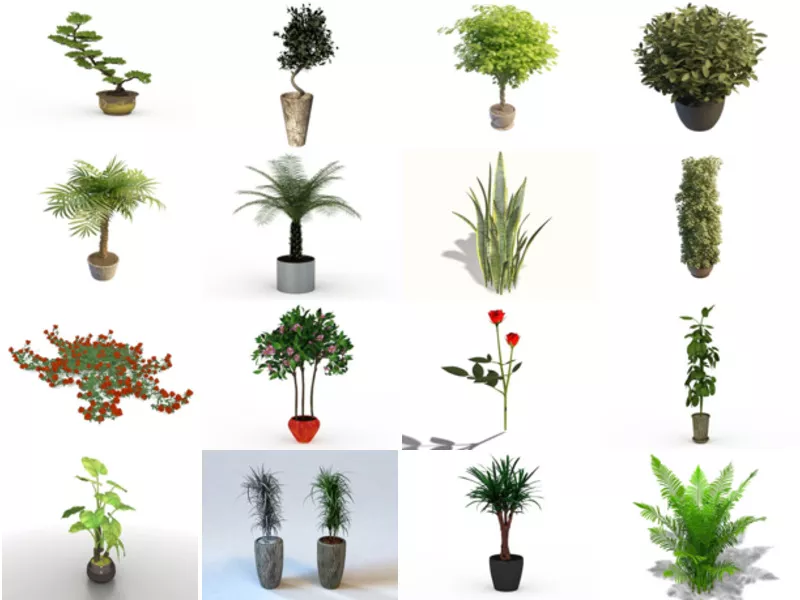 Top 26 Houseplants 3D Models for Rendering Most Popular 2022