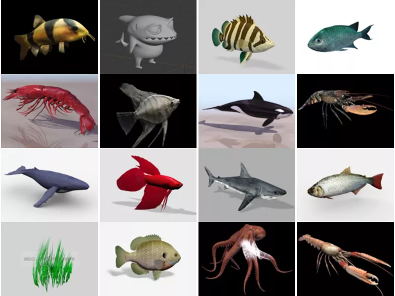 Top 27 Aquatic 3D Models Newest 2022
