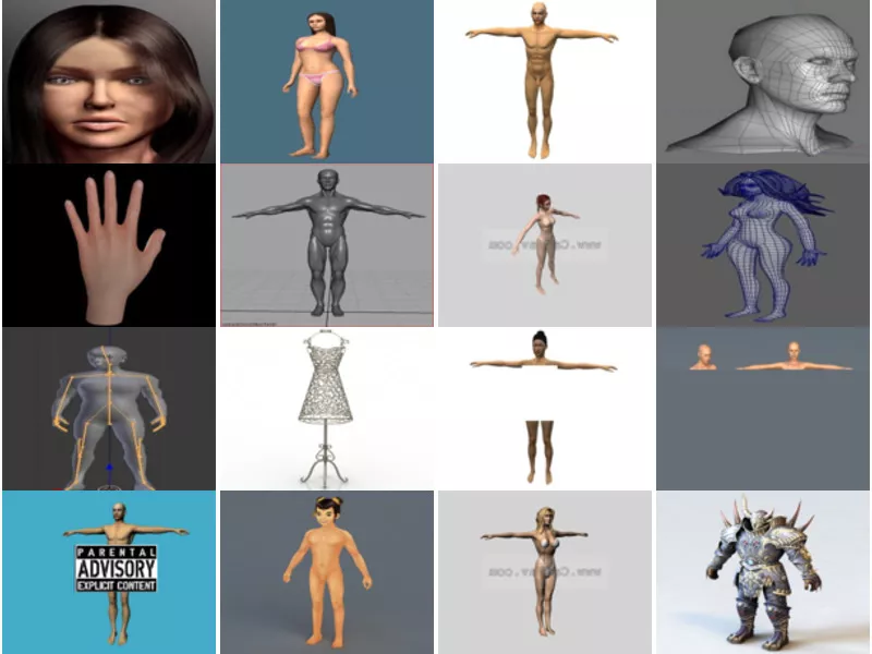 Top 27 Body 3D Models Stuff Most Popular 2022
