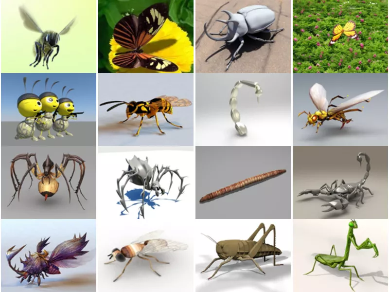 Top 27 Insect 3D Models Stuff Most Viewed 2022