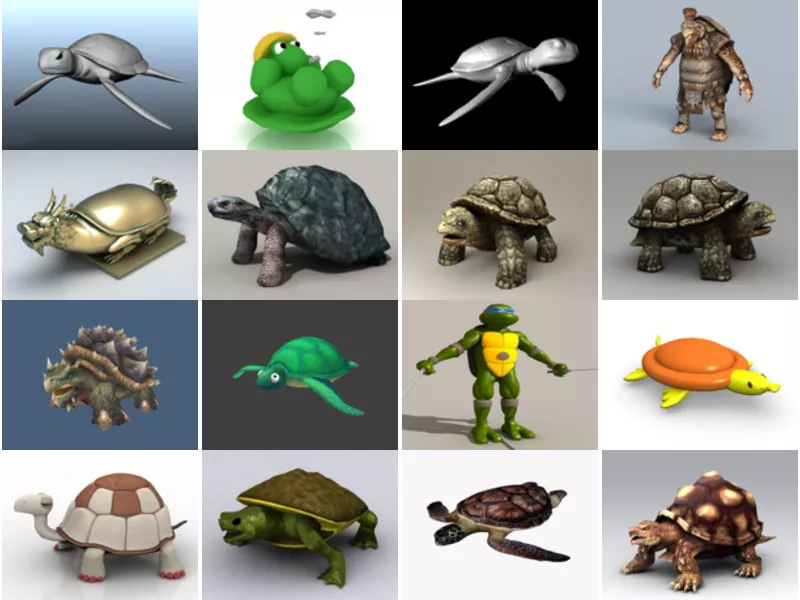 Top 27 Turtle 3D Models Resources Most Popular 2022