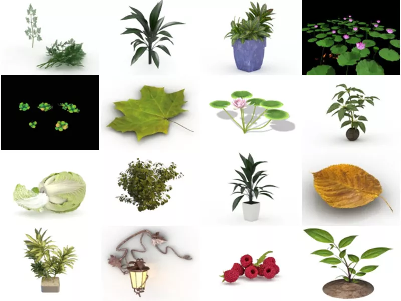 Top 28 Leaf 3D Models Most Popular 2022