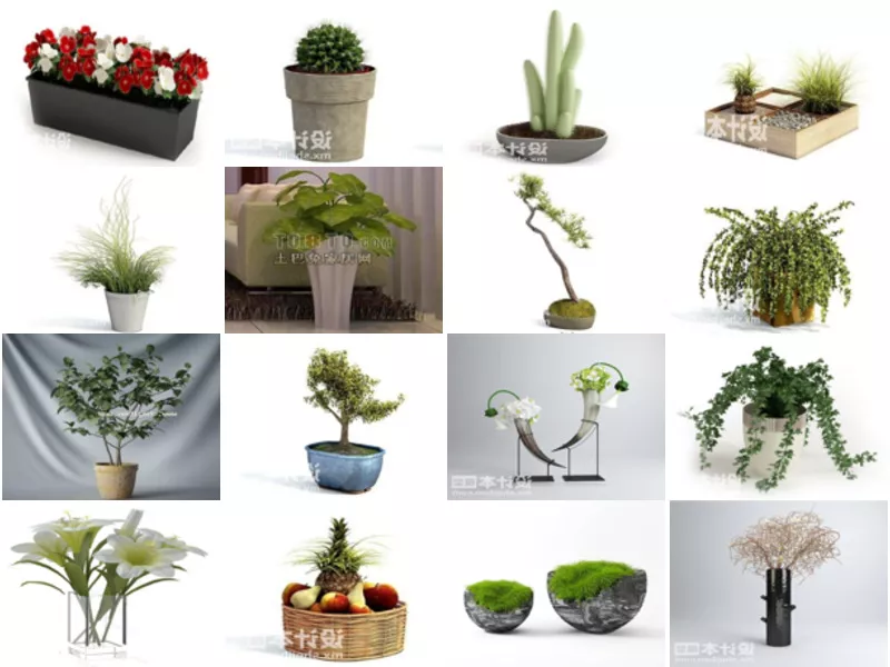 Top 28 Potted Plant 3D Models for Rendering Most Popular 2022