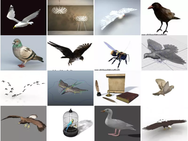 Top 29 Bird 3D Models for Design Most Popular 2022