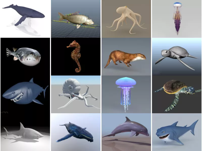 Top 30 Aquatic Animal 3D Models for Rendering Most Viewed 2022